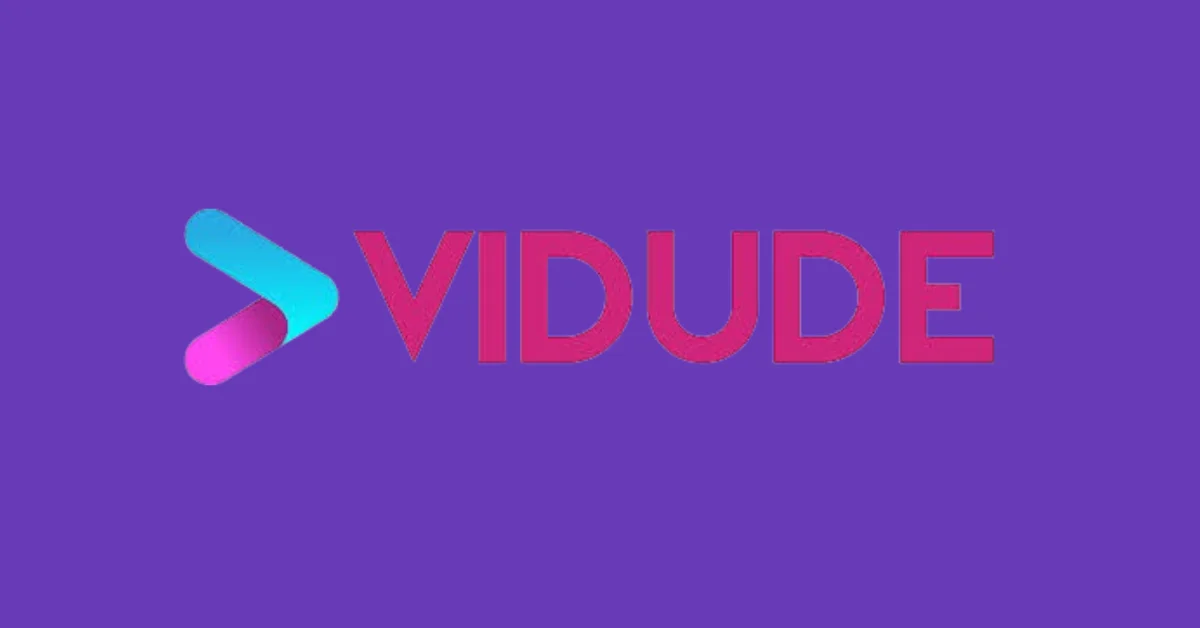 What is Vidude Brand Assets?