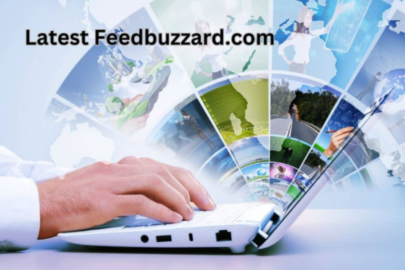 Exploring the Latest FeedBuzzard.com