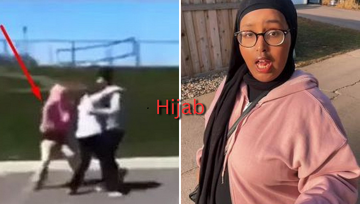 The “Pink Hoodie Hijab Fight”: Unpacking a Viral Incident and Its Implications