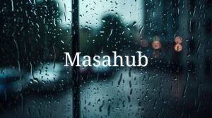 Everything about Masahub